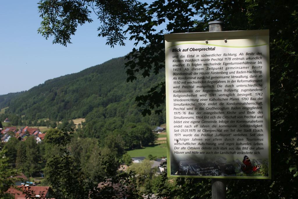 Haus Traudel Matt Hotel Elzach Exterior photo